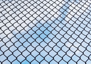decorate your fence chain link fence