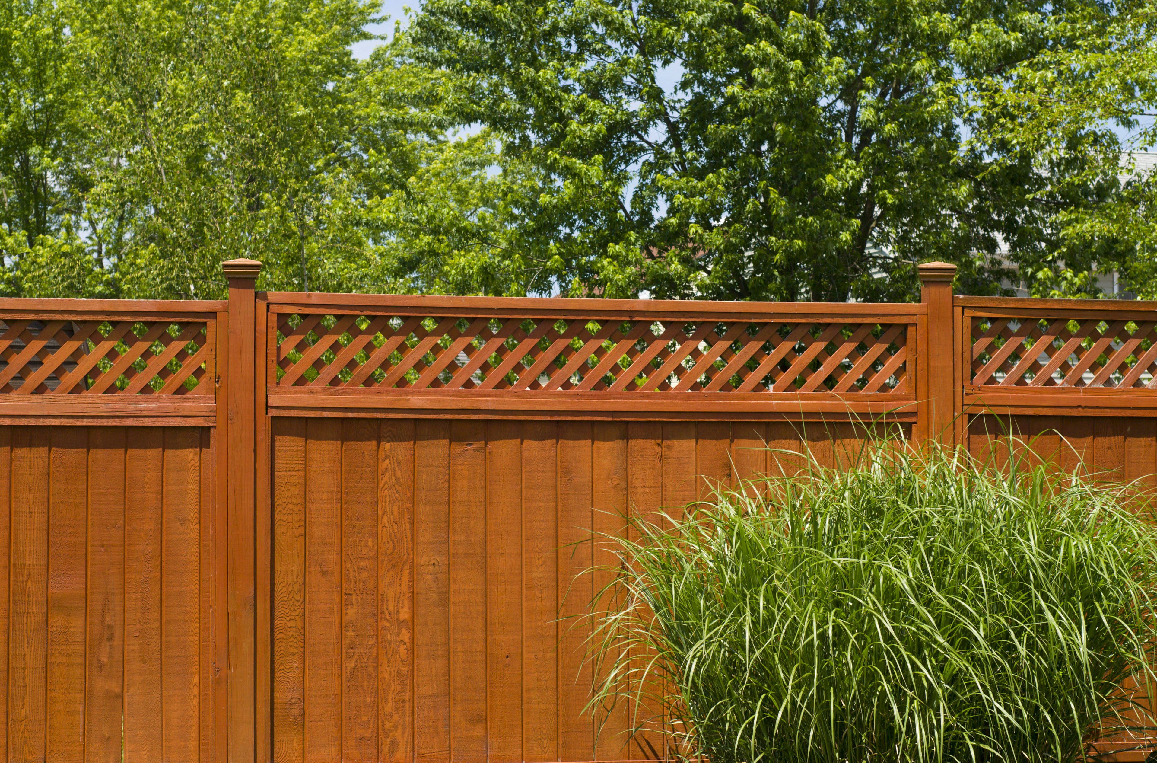 What Types of Wood are Used for Norfolk Wood Fences? - Hercules Fence