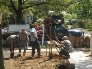 fence repairs hercules virginia beach