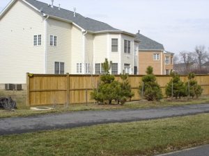 Landscape Your Privacy Fence