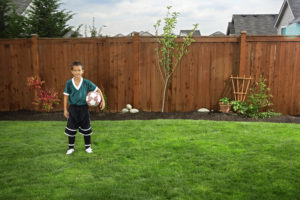 Your wood fence needs to be maintained in order to survive a long time.