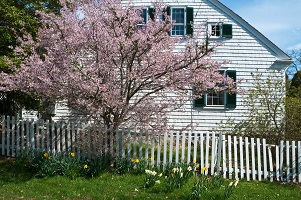 How to Keep Your Wood Fence Looking Its Best This Spring