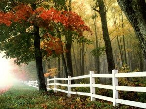 5 Reasons to Consider Fall Fence Installation 