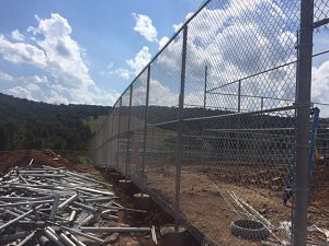 Saving the Whooping Cranes: What Hercules Fence Did