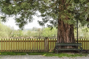 3 Factors to Consider When Choosing Your Next Fence