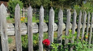 Is Your Wood Fence in Need of Repair?