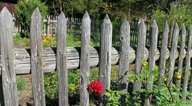 3 Ways to Spruce Up Your Garden Fence 