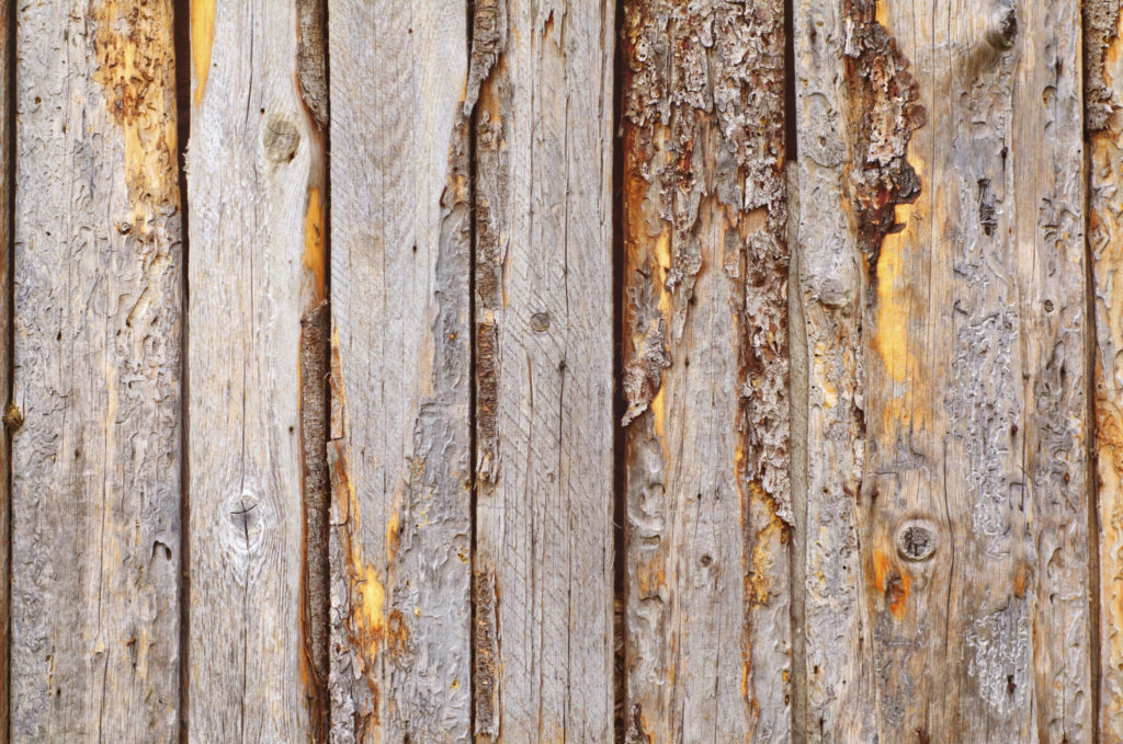 4 Ways to Make Your Old Fence Look Better