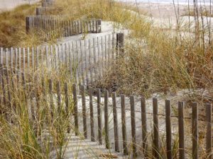 leaning fence va beach hercules