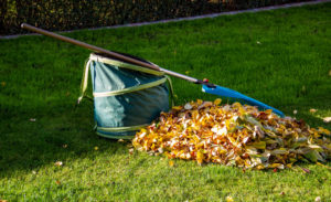 fun fall fence decoration tips hercules fence va beach norfolk