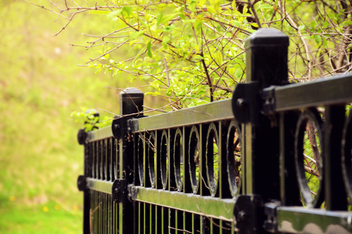 Reasons to Get Iron Fencing Installed