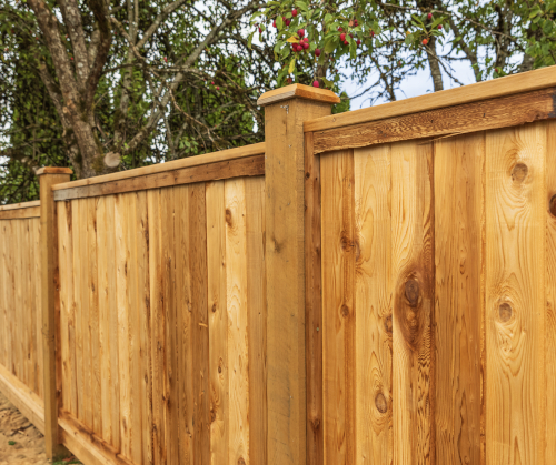 Causes of Rot in a Wood Fence