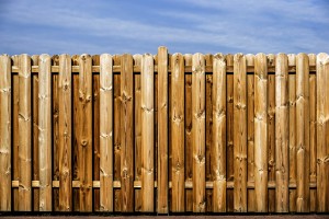 wooden fence, termites