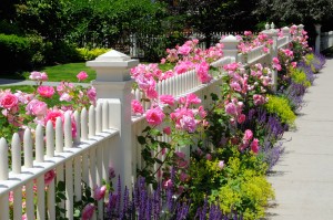 decorative fencing