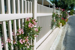 dog fencing