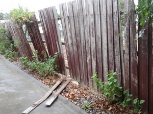 fence maintenance
