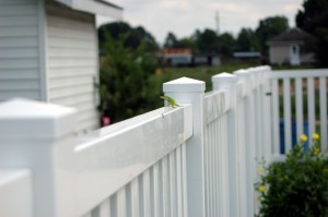 vinyl fence colors