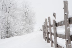 wooden fence