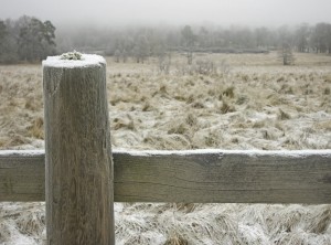 winter fence